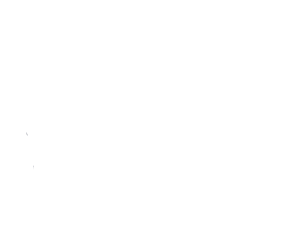 The Moseley Arms